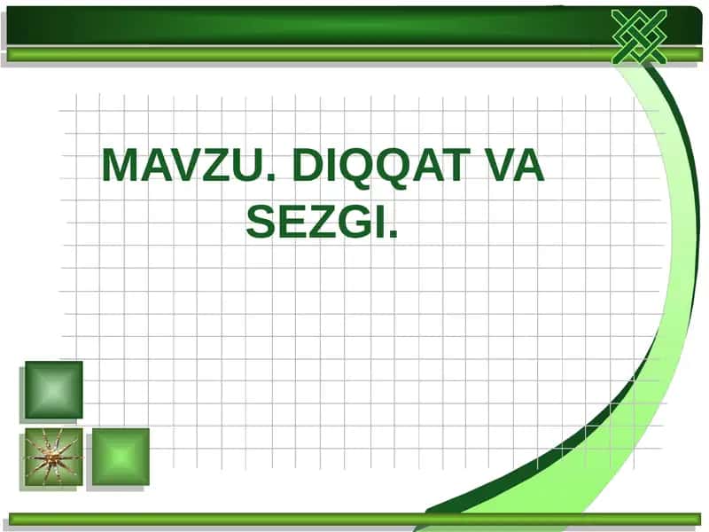 Diqqat va Sezgi