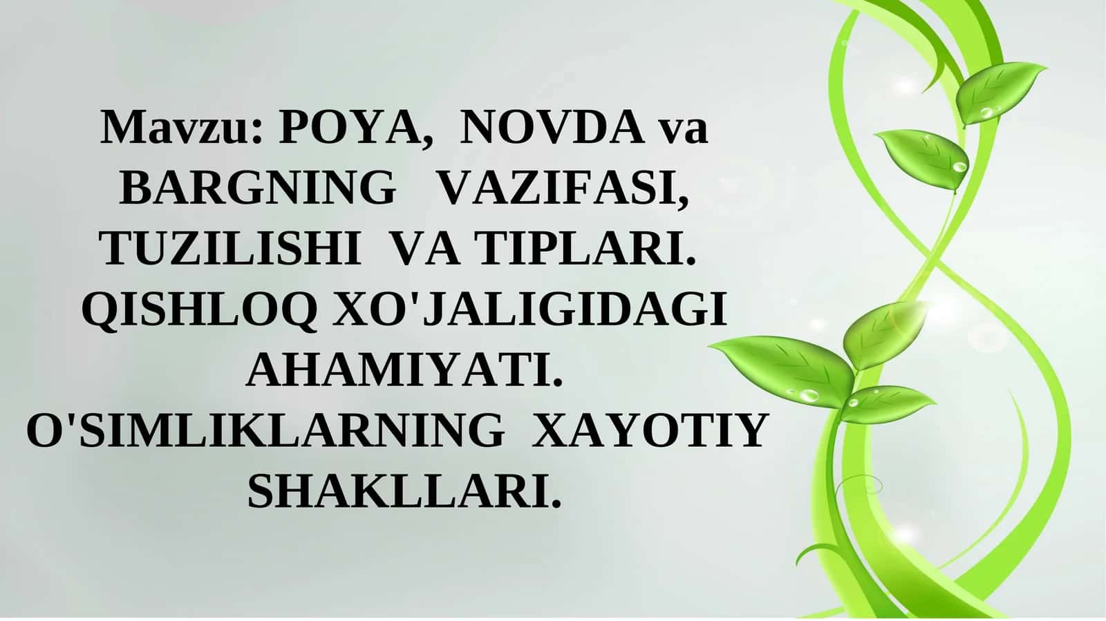 POYA, NOVDA va BARGNING VAZIFASI, TUZILISHI VA TIPLARI