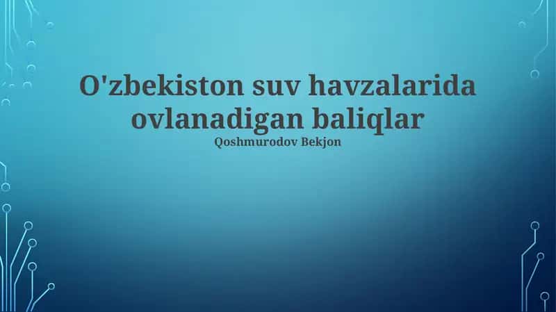 O'zbekiston suv havzalarida ovlanadigan baliqlar