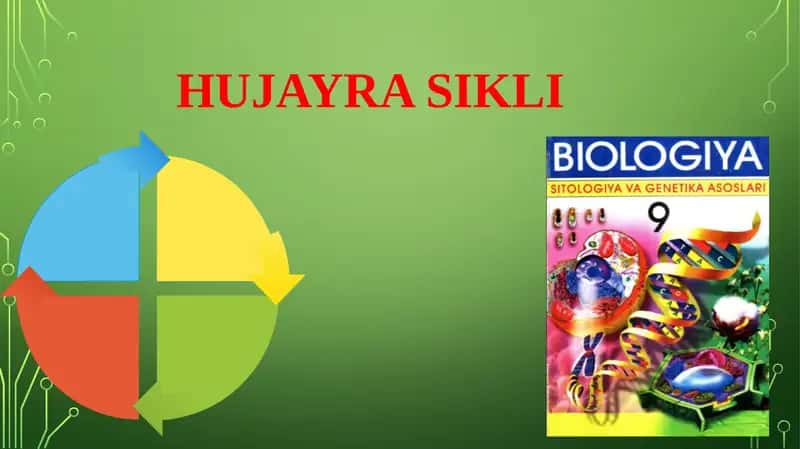 HUJAYRASIKLI