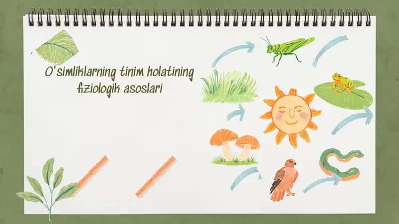 O'simliklarning tinim holatining fiziologik asoslari