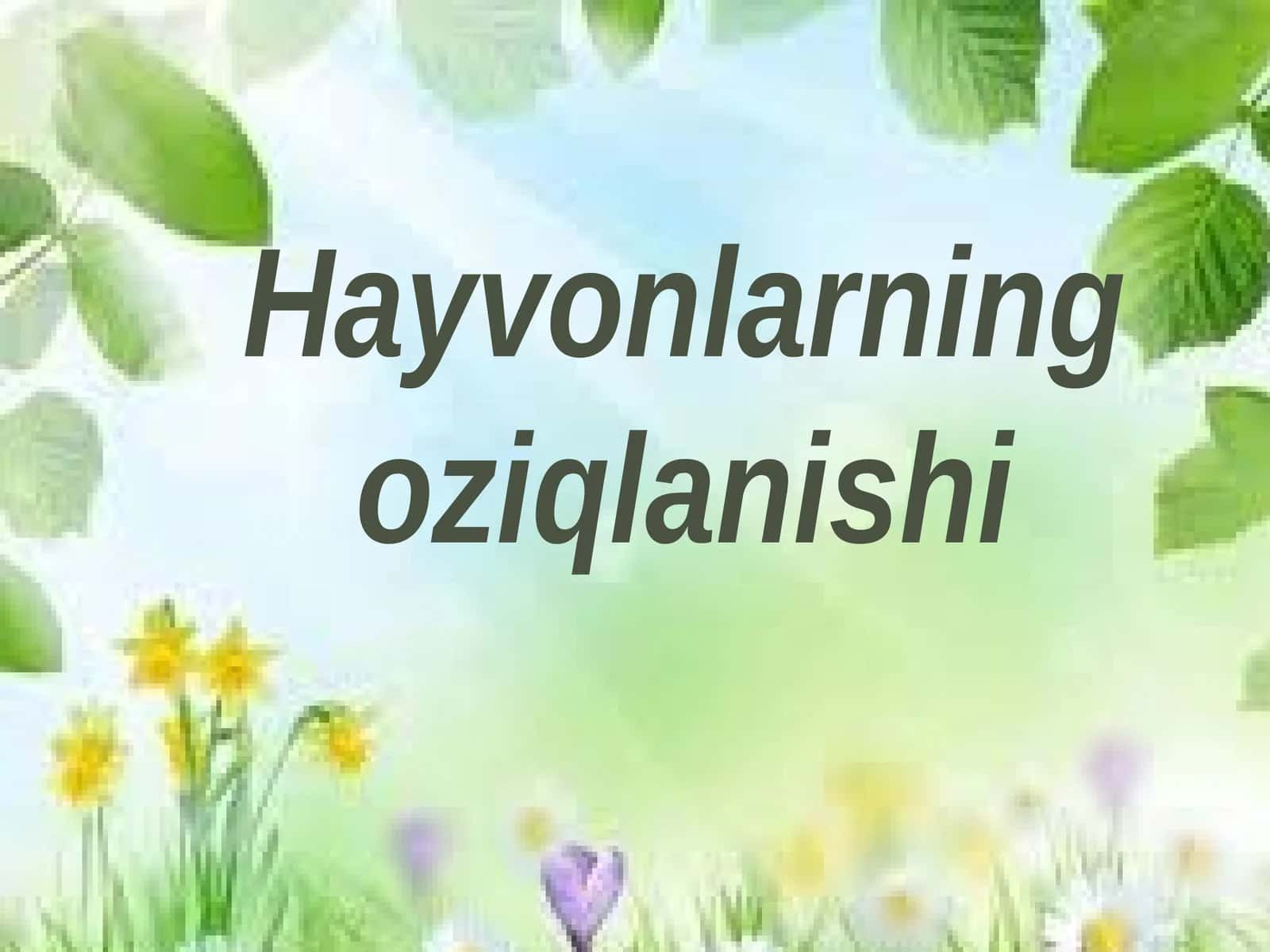 Hayvonlarning oziqlanishi