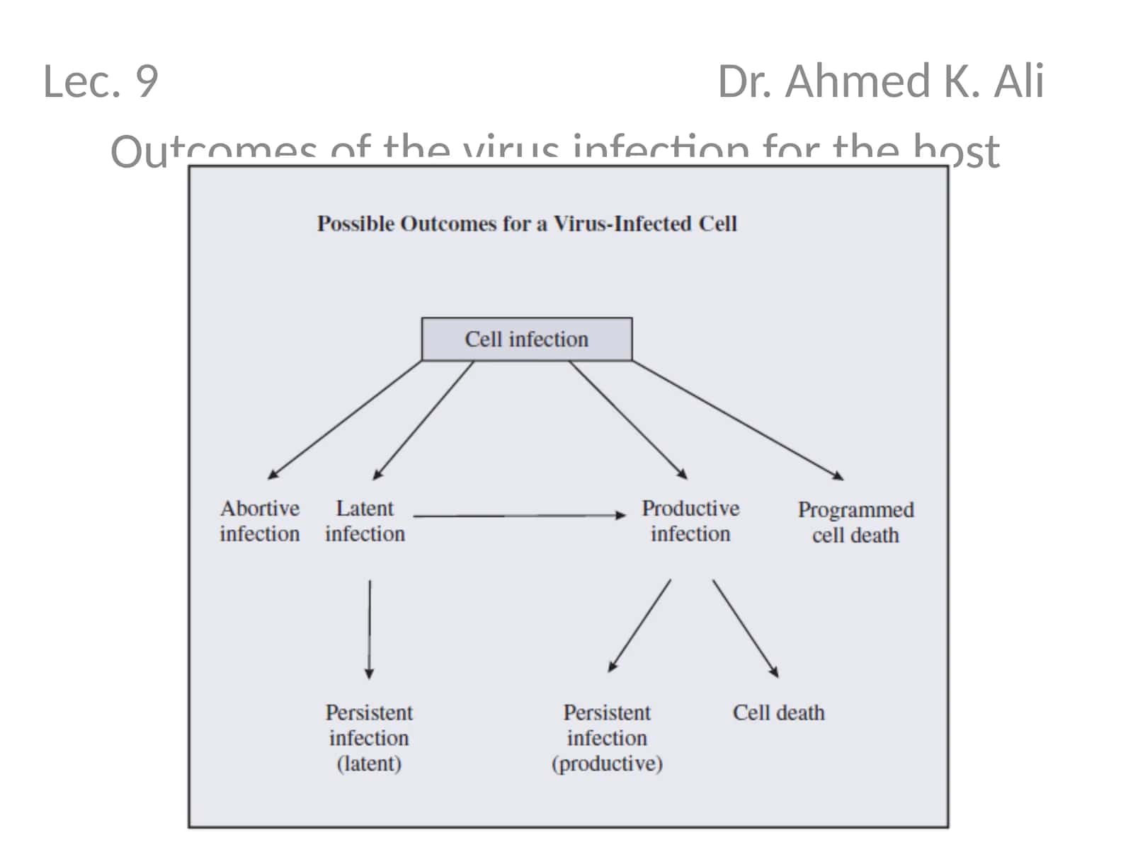 Outcomes of the virus infection for the host