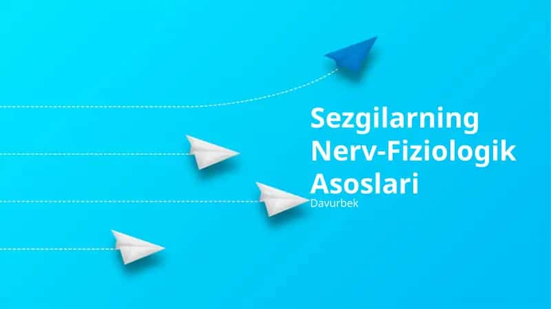 Sezgilarning Nerv-Fiziologik Asoslari