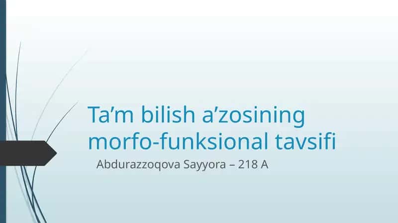Ta’mbilisha’zosining morfo-funksional tavsifi