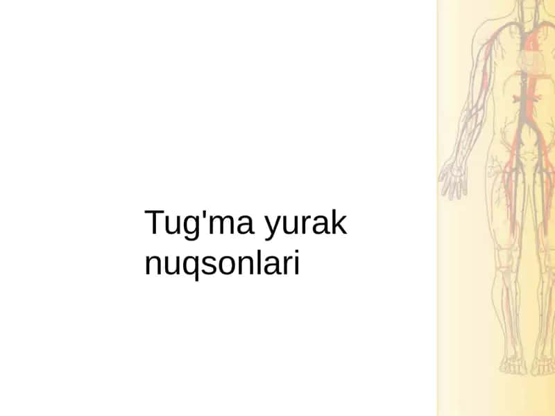Tug‘ma yurak nuqsonlari
