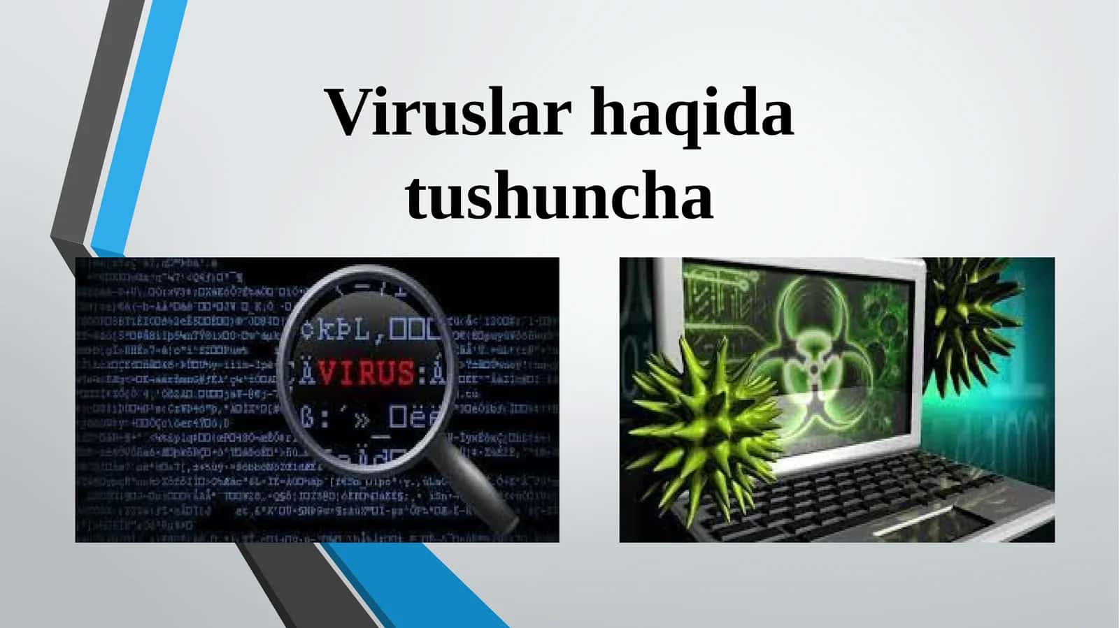 Viruslar haqida tushuncha