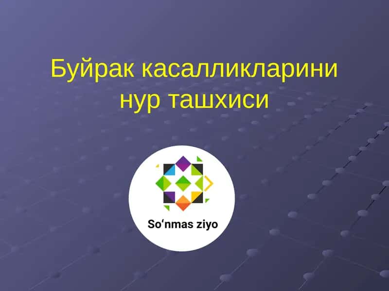 Буйрак касалликларини нур ташхиси