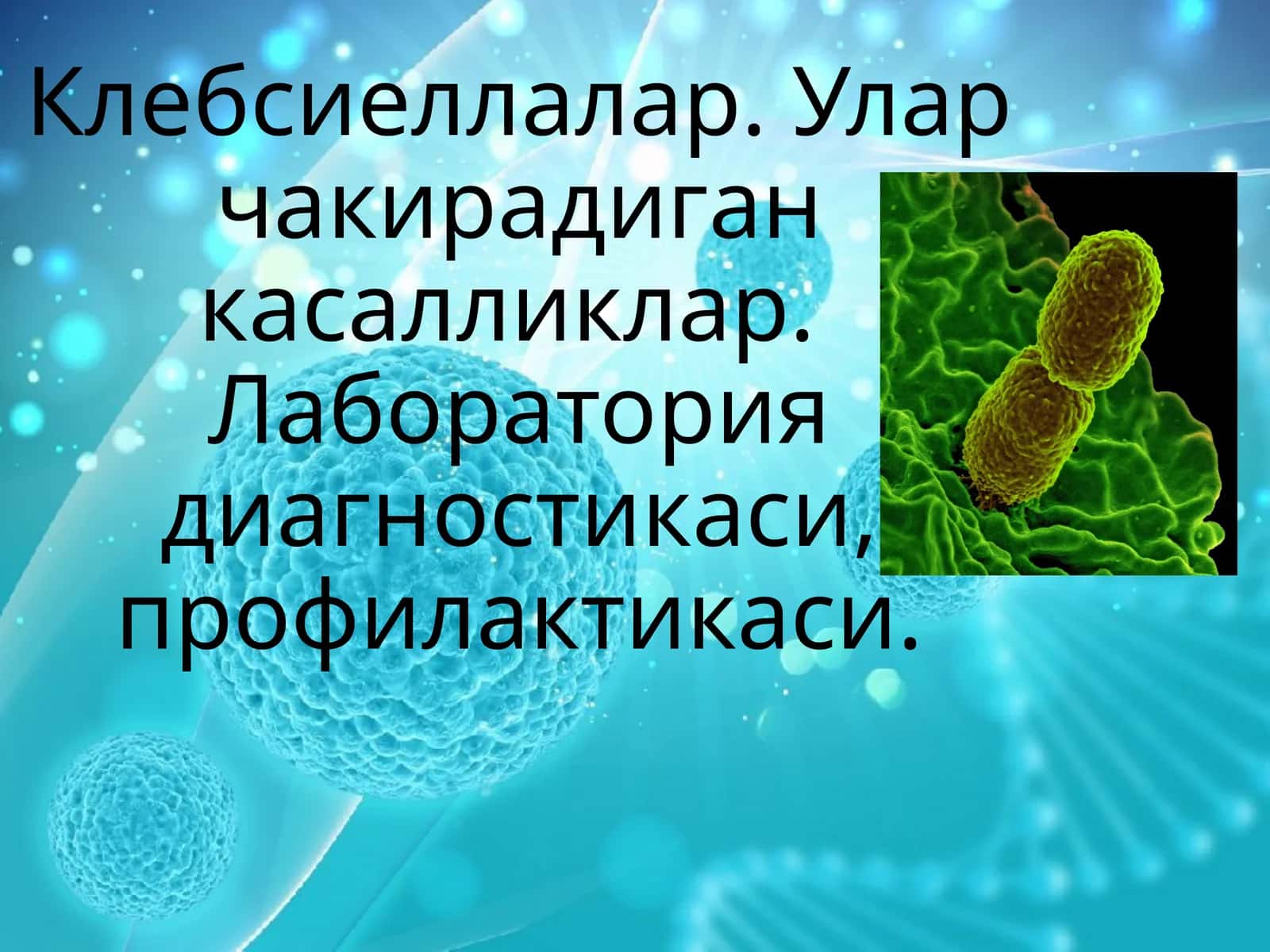 Klebsiella bakteriyalari(mikrobiologiya)