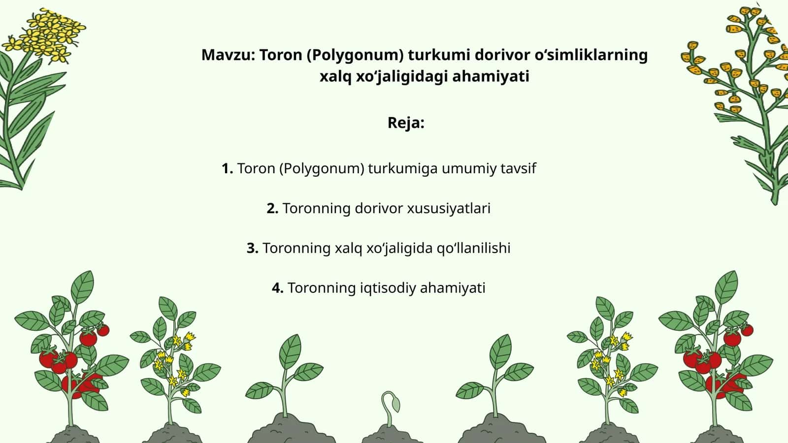 Toron (Polygonum) turkumi dorivor o‘simliklarning xalq xo‘jaligidagi ahamiyati