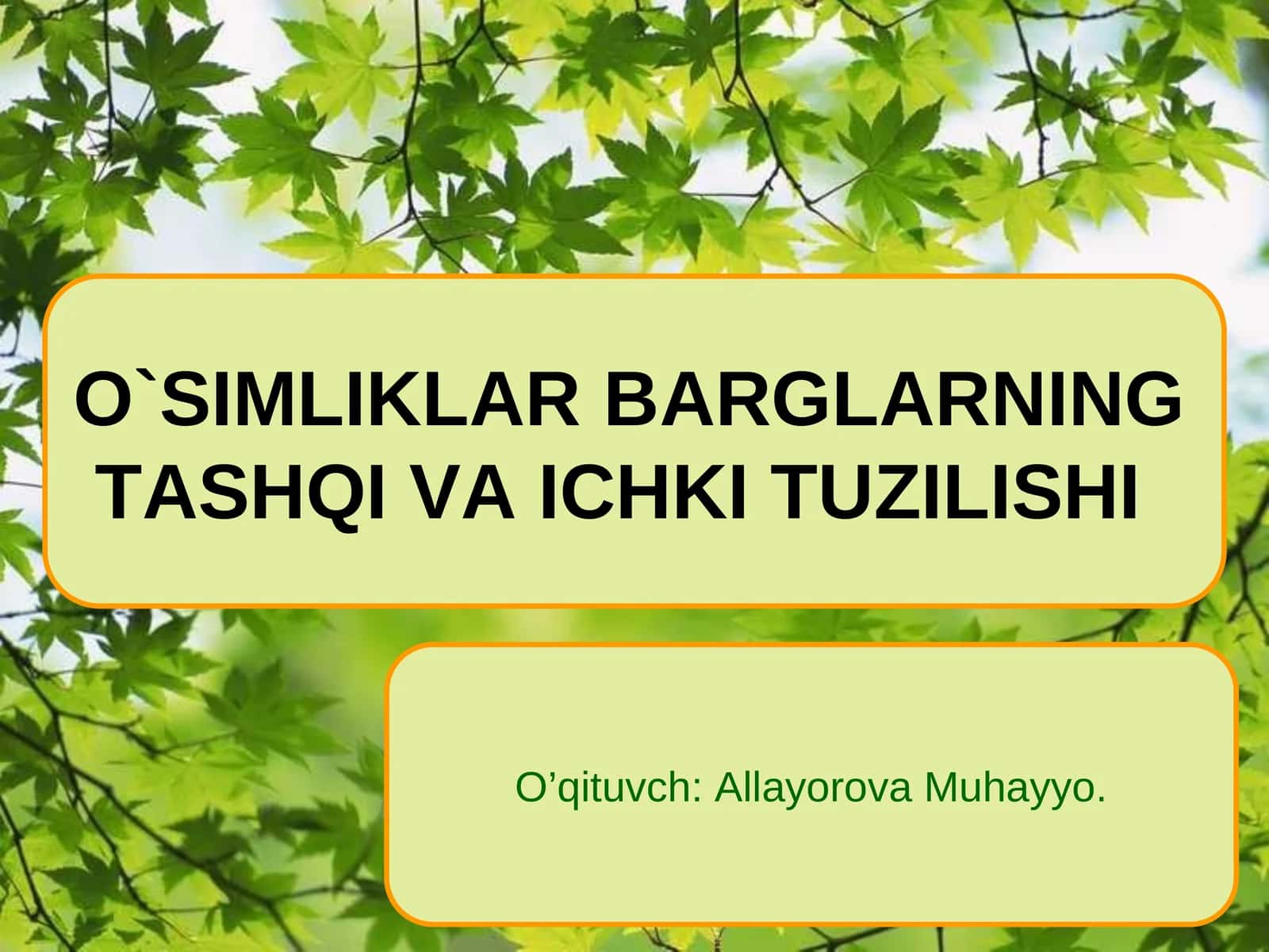 O`SIMLIKLARBARGLARNING TASHQI VA ICHKI TUZILISHI