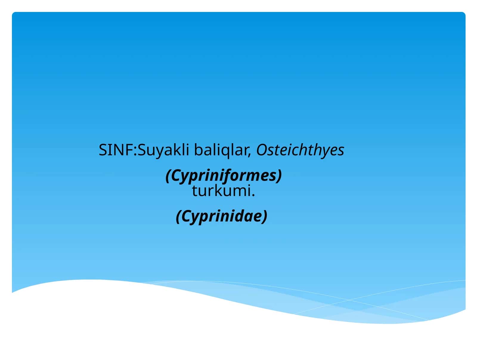 Suyaklibaliqlar