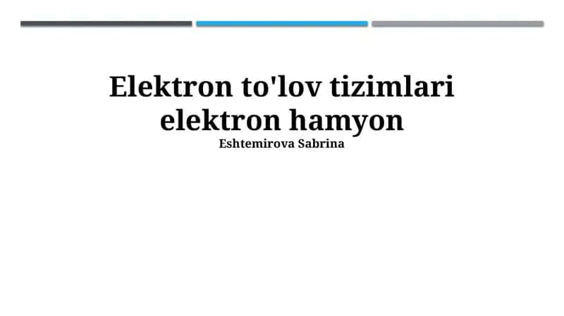 Elektron to'lov tizimlari elektron hamyon