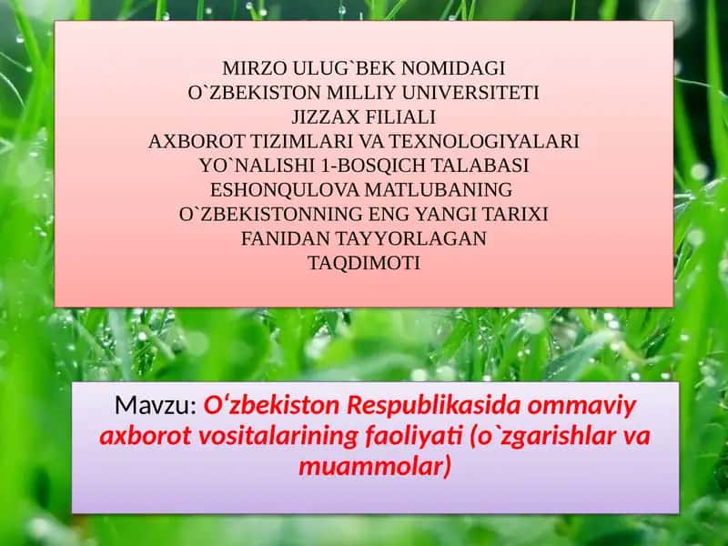 O‘zbekiston Respublikasida Ommaviy Axborot Vositalari Faoliyati (O‘zgarishlar va Muammolar)