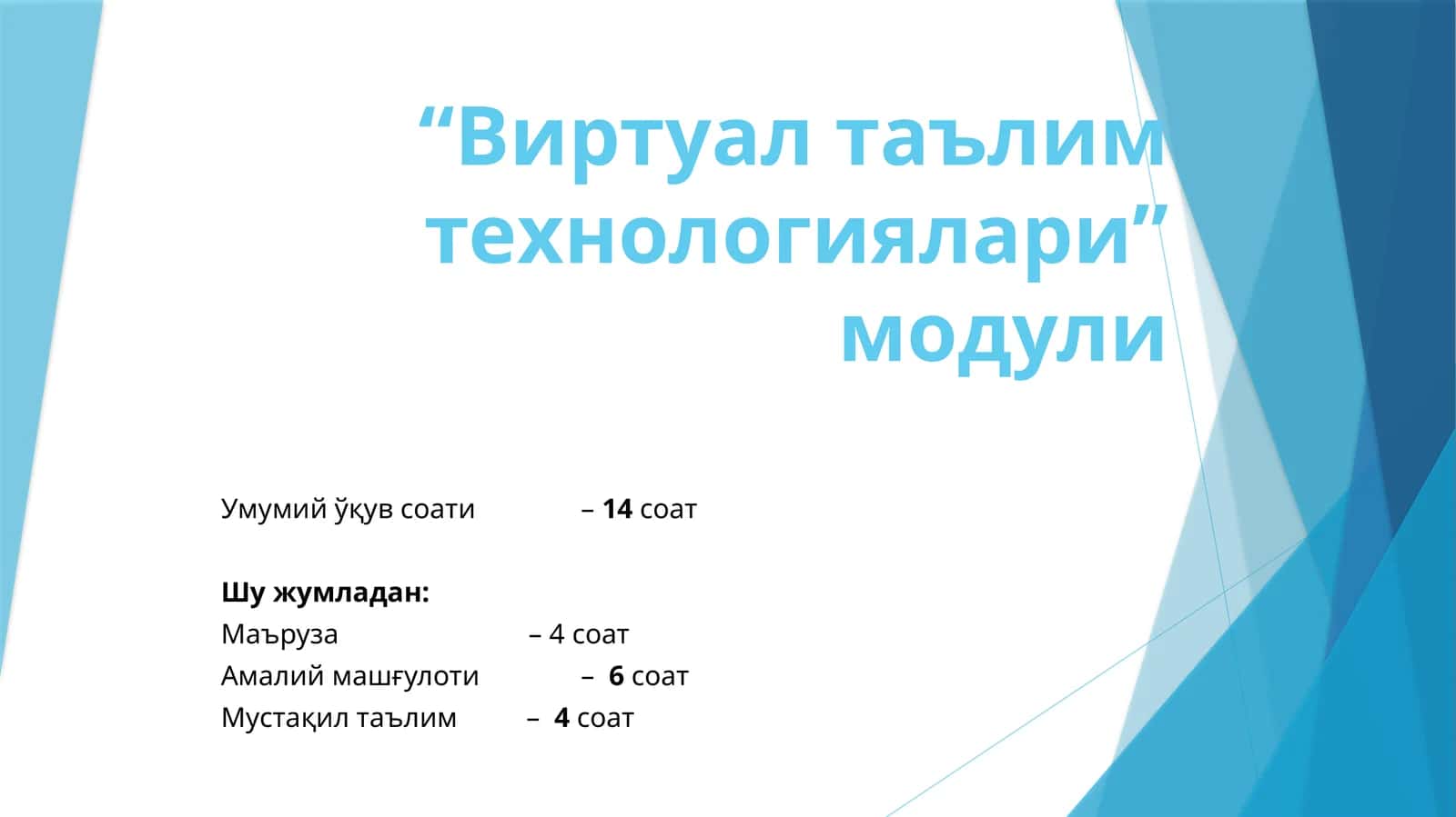 Виртуал таълим технологиялари