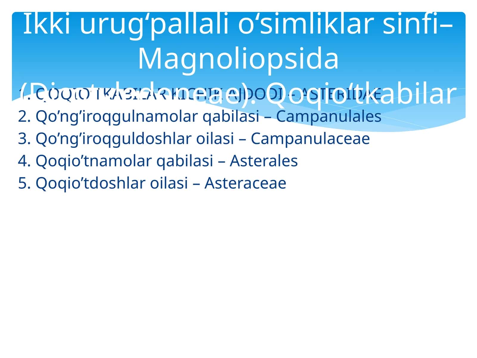 Qoqio’tkabilar kichik ajdodi – Asteridae