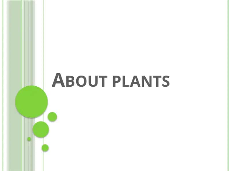 About plants