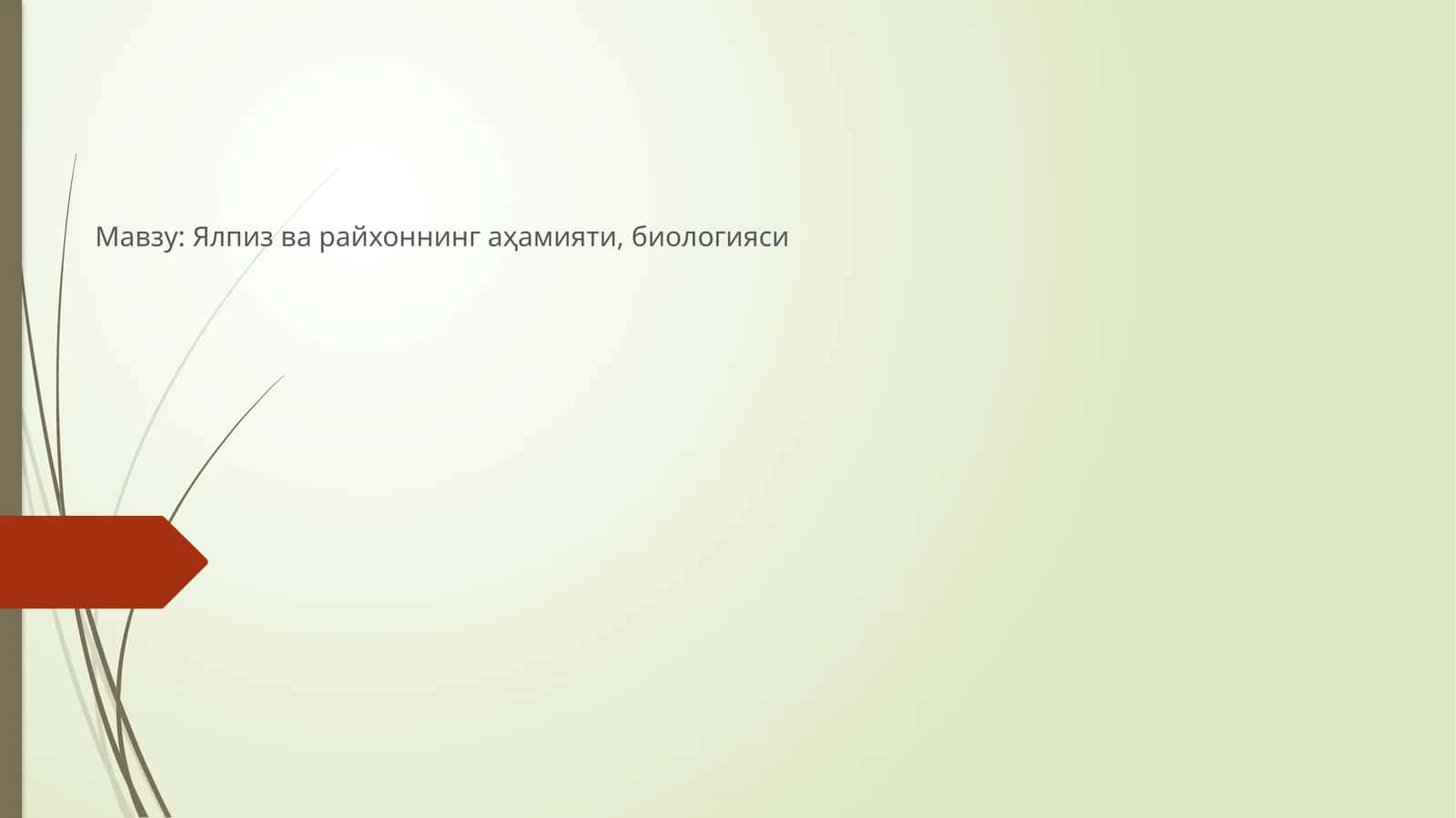 Ялпиз ва райхоннинг аҳамияти, биологияси