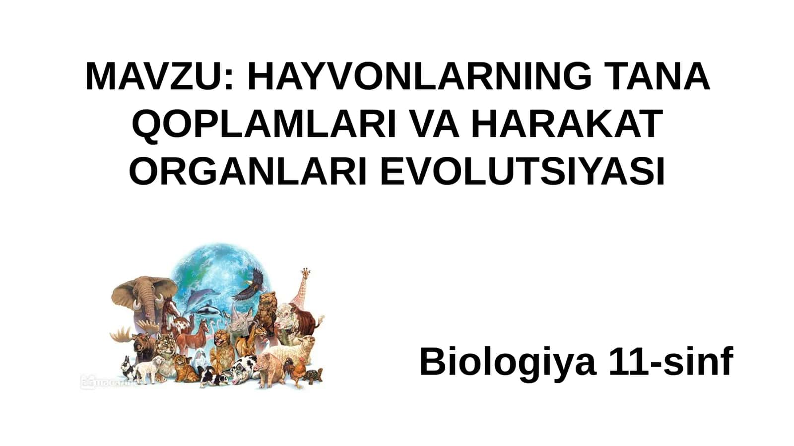 HAYVONLARNING TANA QOPLAMLARI VA HARAKAT ORGANLARI EVOLUTSIYASI