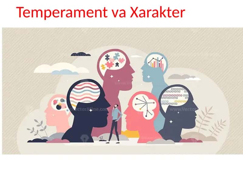 Temperament va xarakter haqida maʼlumot