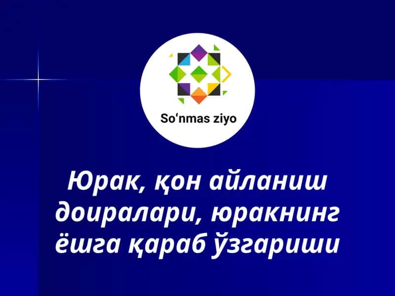 Юрак, қон айланиш доиралари, юракнинг ёшга қараб ўзгариши