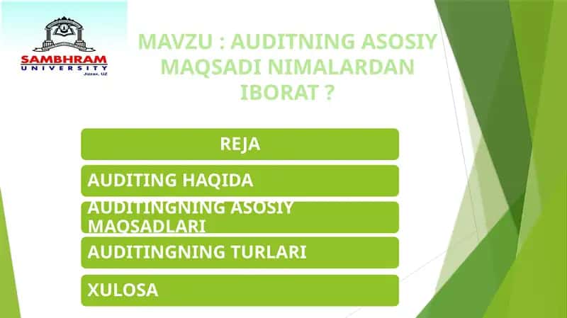 AUDITNING ASOSIY MAQSADI NIMALARDAN IBORAT?