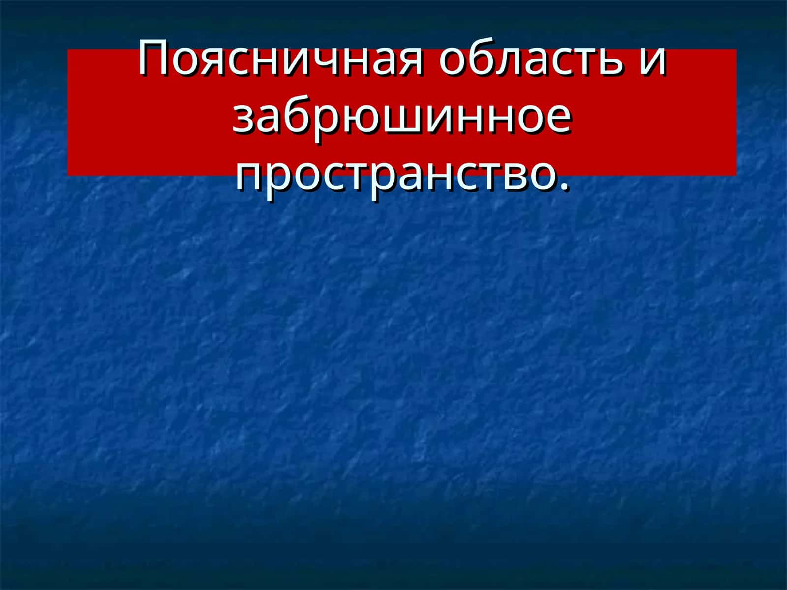 Поясничная область и забрюшинное пространство