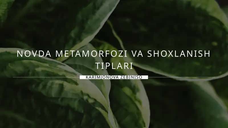 Novda Metamorfozi va Shoxlanish Tiplari