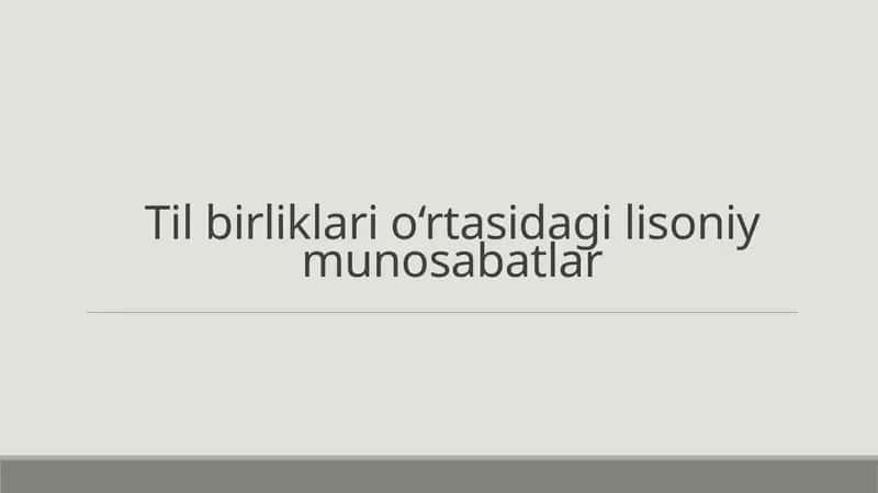 Til birliklari o'rtasida lisoniy munosabatlar