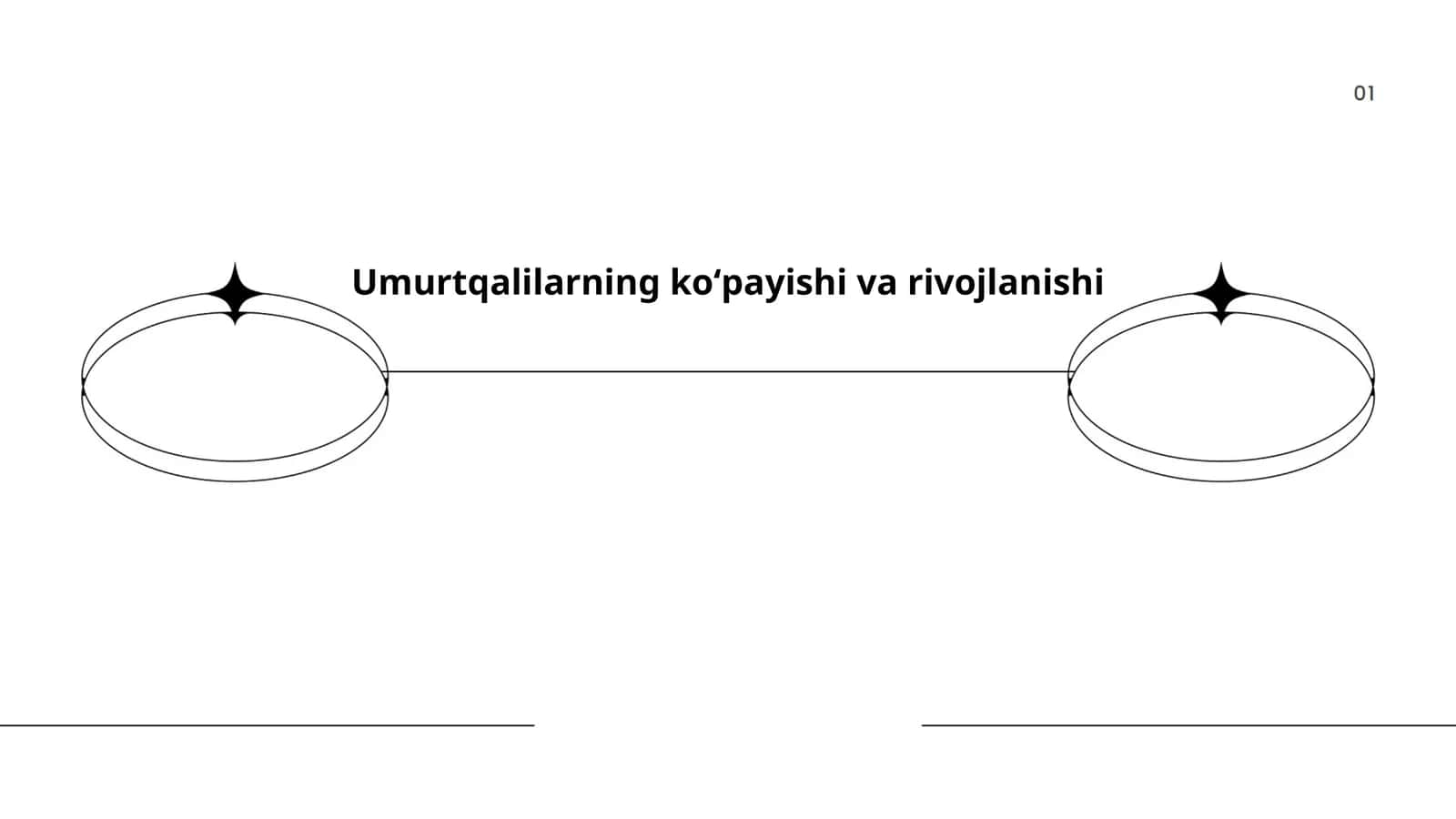 Umurtqalilarning koʻpayishi va rivojlanishi
