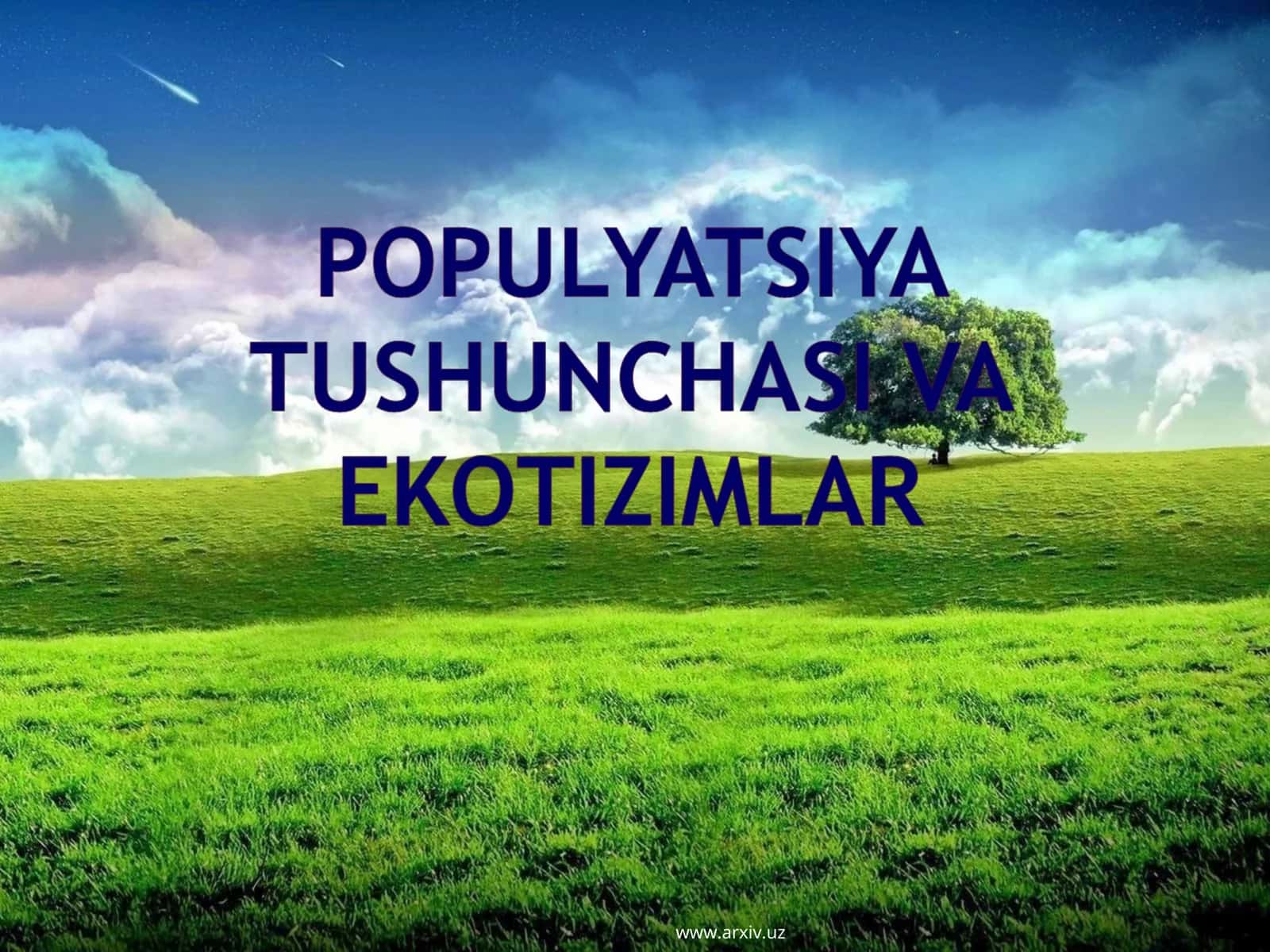 Ekosistemaning iyerarxik qatorlari. Populyatsiya