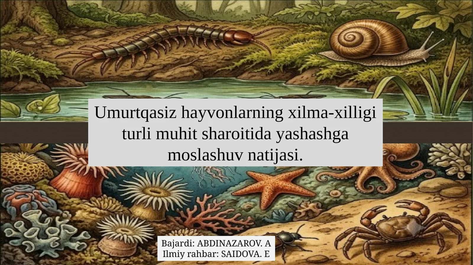 Umurtqasiz hayvonlarning xilma-xilligi turli muhit sharoitida yashashga moslashuv natijasi.