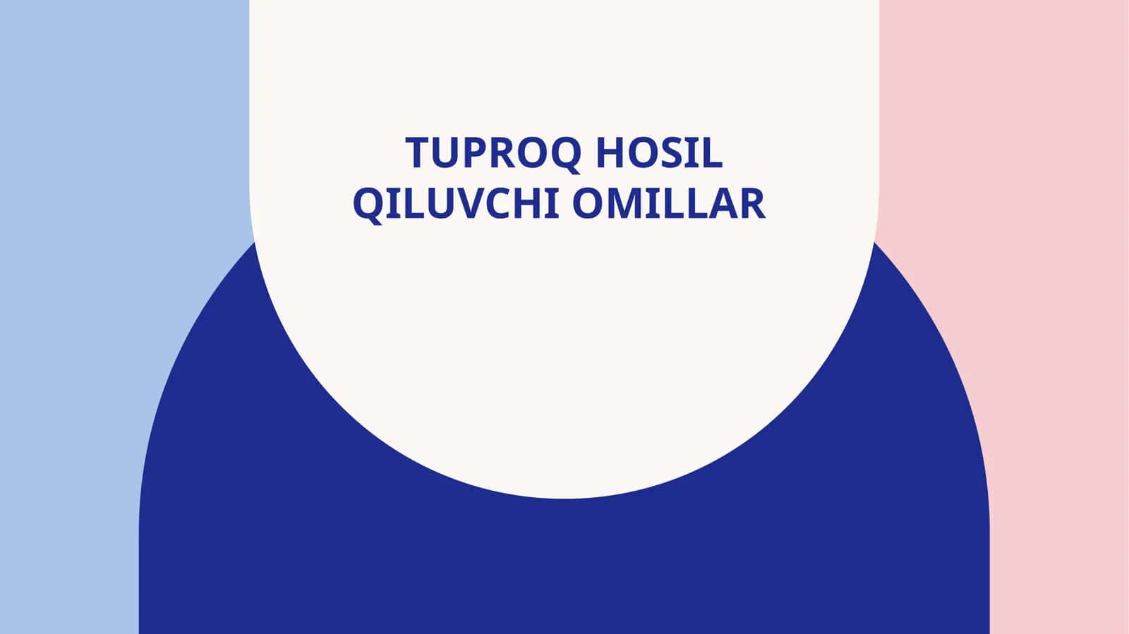 Tuproq hosil qiluvchi omillar
