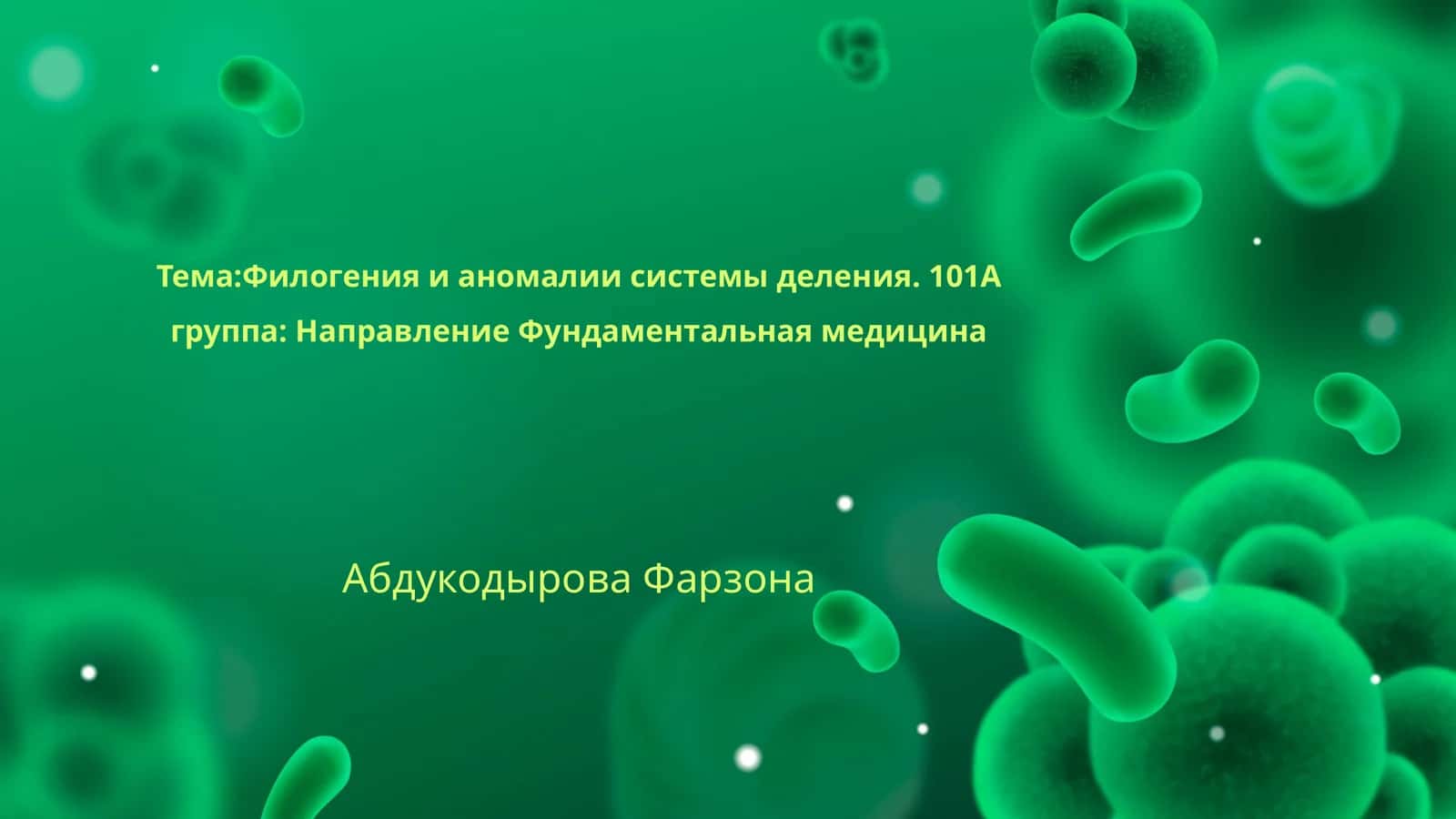 Филогения и аномалии системы деления