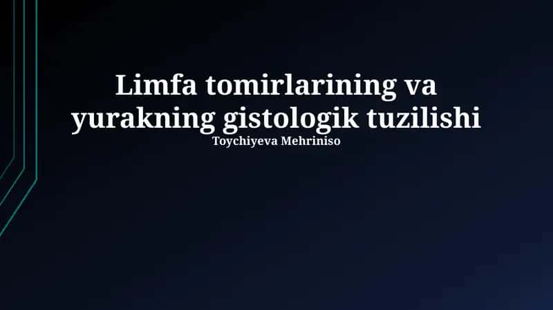 Yurakning gistologik tuzilishi