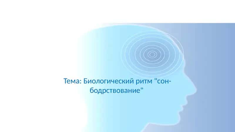 Биологический ритм сон-бодрствование