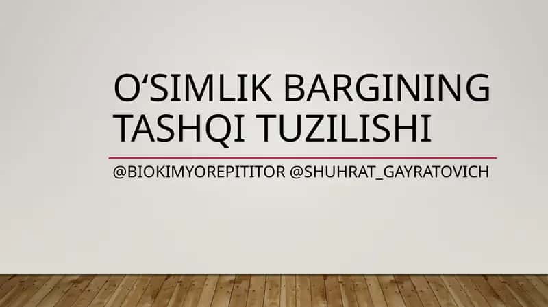 O‘simlik Bargining tashqi tuzilishi