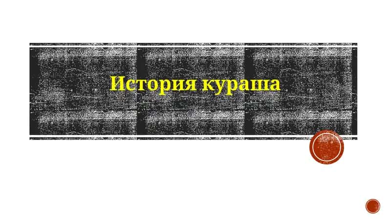 История кураша