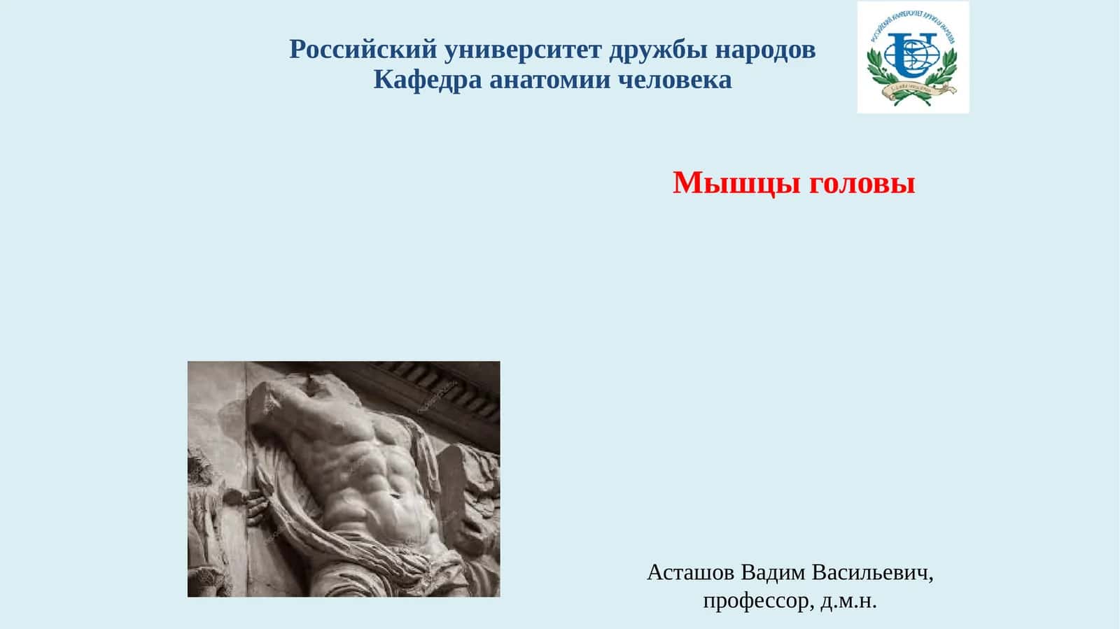 Мышцы головы