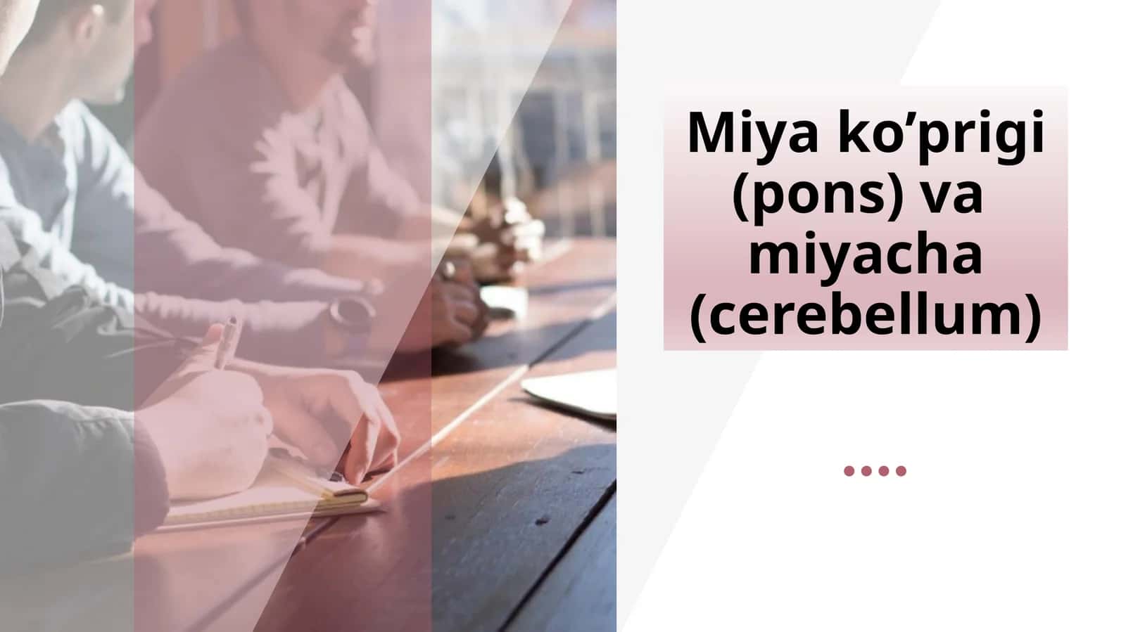 Miyako’prigi(pons)vamiyacha(cerebellum)
