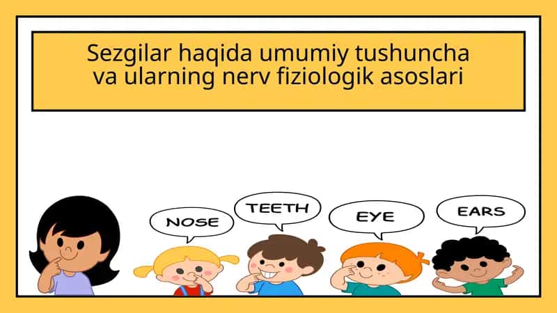 Sezgilar haqida umumiy tushuncha va ularning nerv fiziologik asoslari
