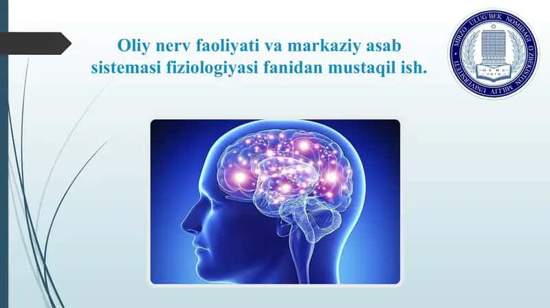 Oliy nerv faoliyati va markaziy asab sistemasi fiziologiyasi fanidan mustaqil ish.