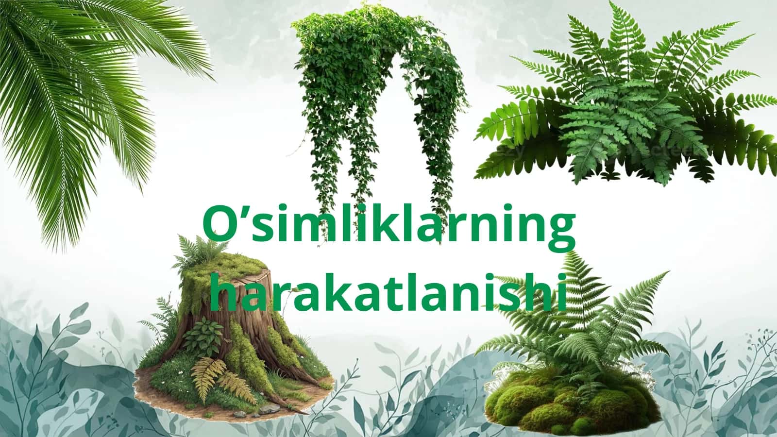 Oʻsimliklarning harakatlanishi