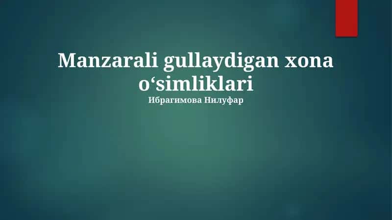 Manzarali gullaydigan xona o‘simliklari