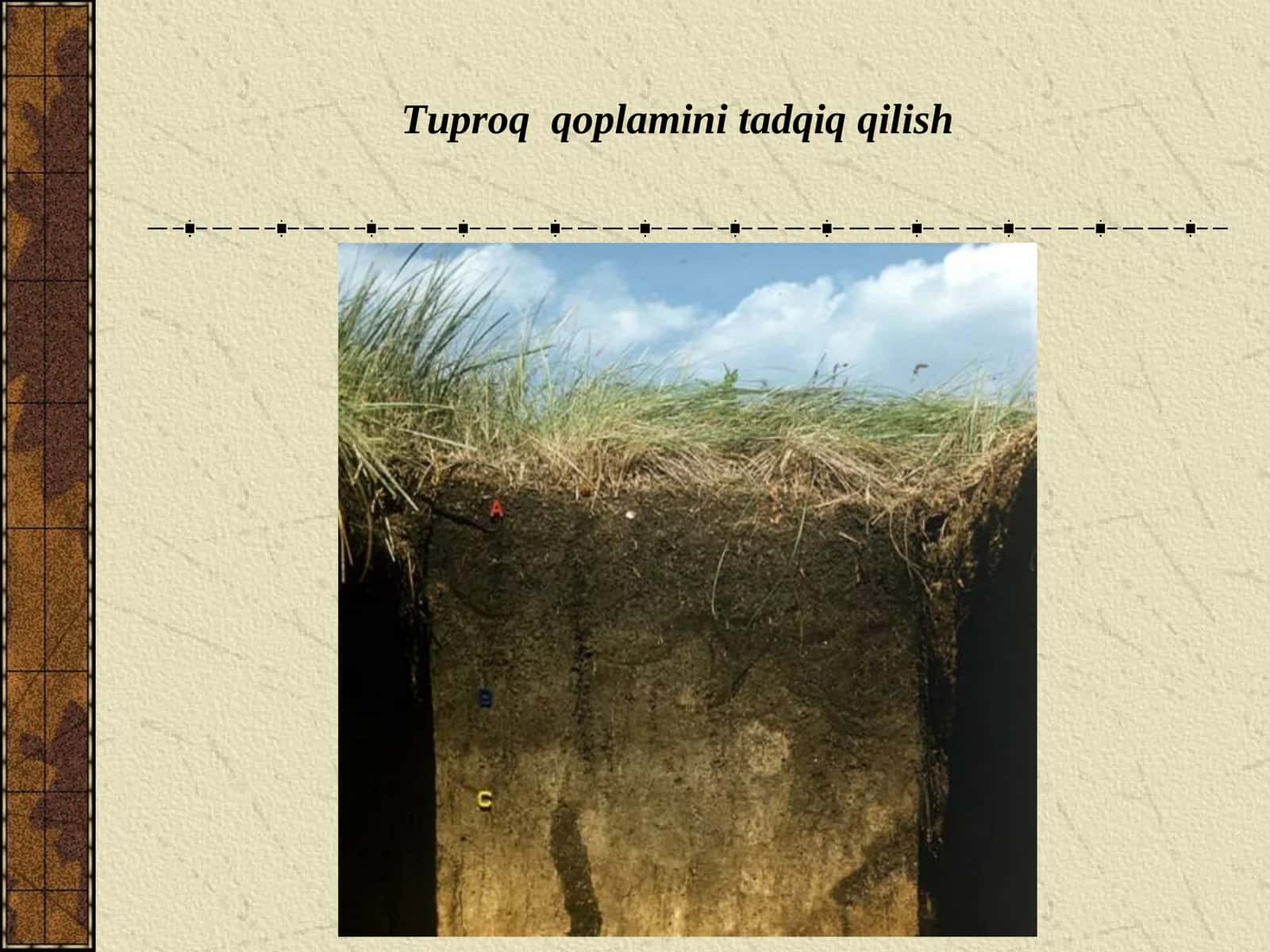 Tuproq qoplamini tadqiqqilish