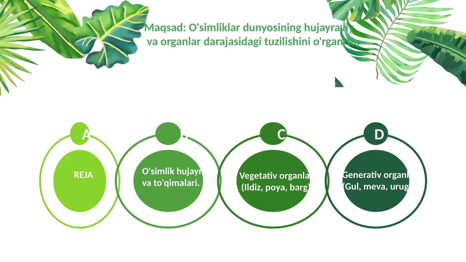 O'simlik hujayrasi va to'qimalari