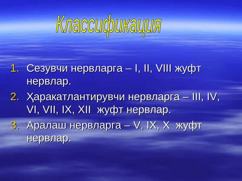 Бош мия нервлари I,II, III, IV, V, VI