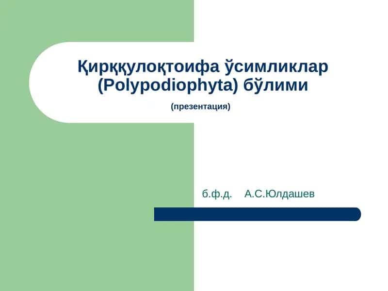 Қирққулоқтоифа ўсимликлар (Polypodiophyta) бўлими(презентация)