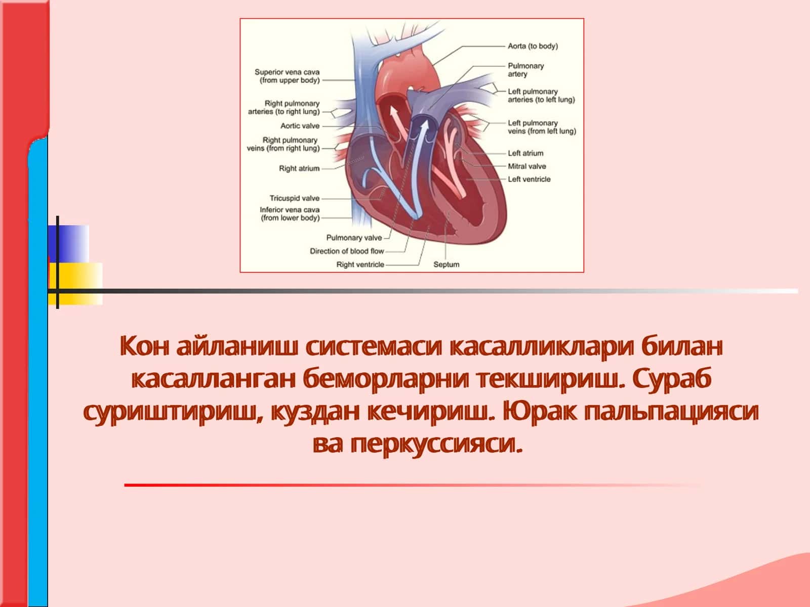 Кон айланиш системаси касалликлари билан касалланган беморларни текшириш