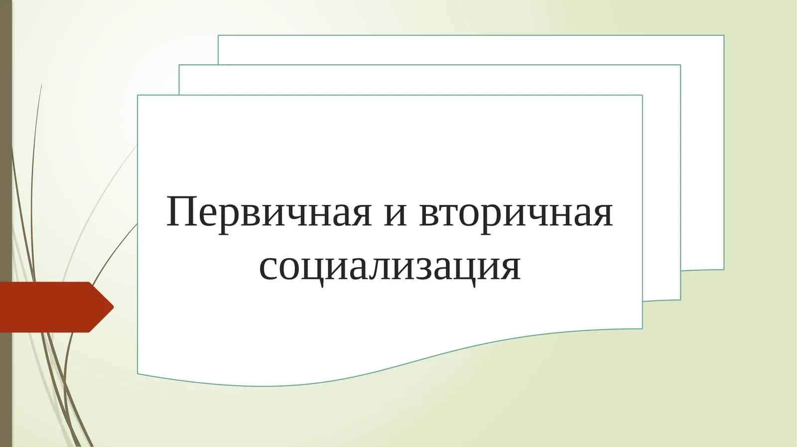 Первичная и вторичная социализация